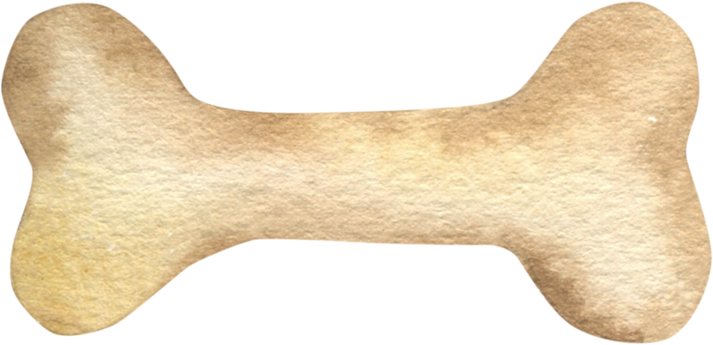 Watercolor illustration of dog bone